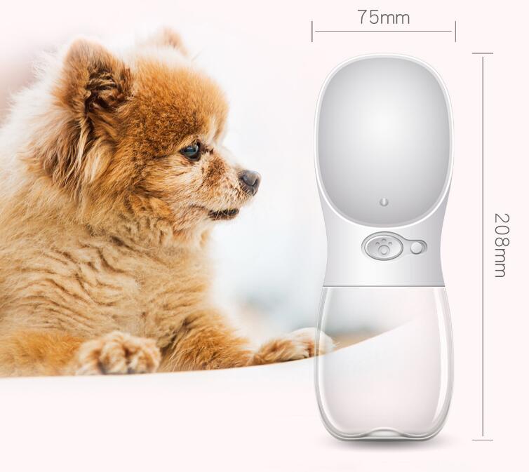 Portable Pet Water Bottle for Outdoor Activities