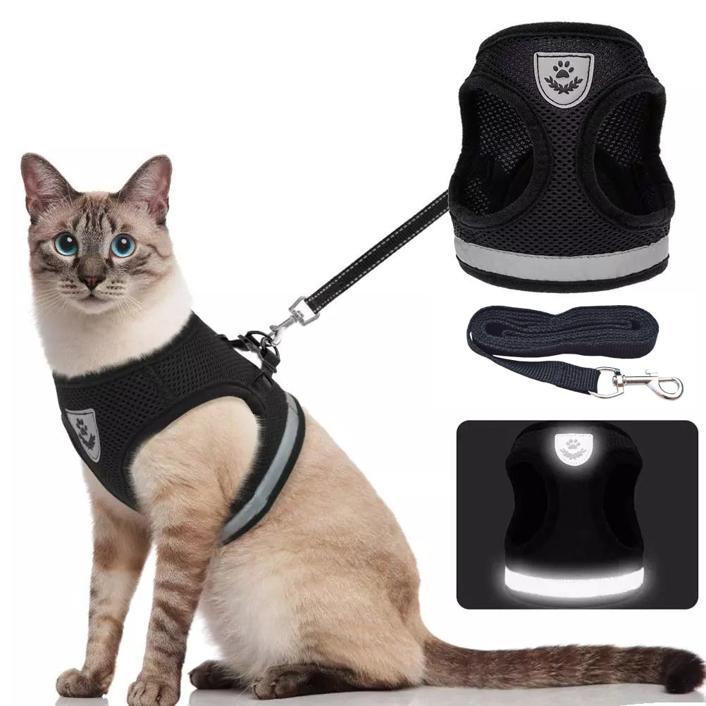 Adorable Dual-Purpose Safety Harness for Little Paws