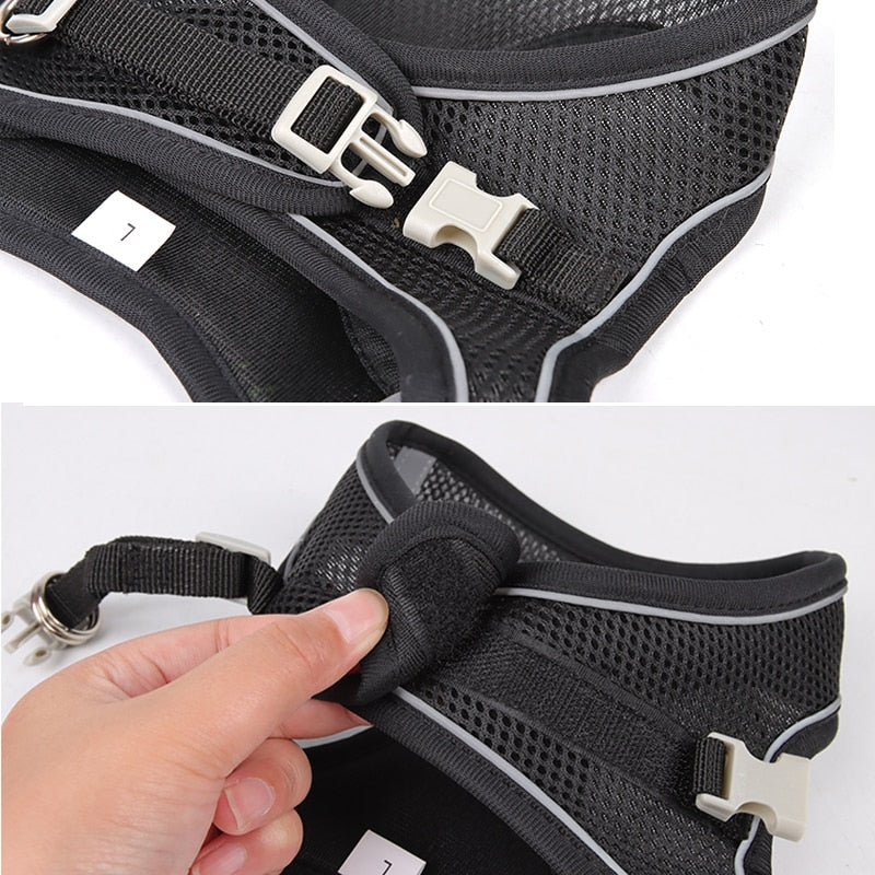 Adjustable Outdoor Dog Harness Leash Set for Puppies