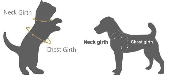 Adorable Dual-Purpose Safety Harness for Little Paws
