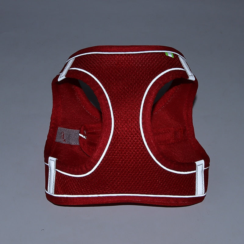 Adjustable Outdoor Dog Harness Leash Set for Puppies