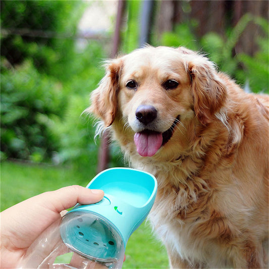 Portable Pet Water Bottle for Outdoor Activities