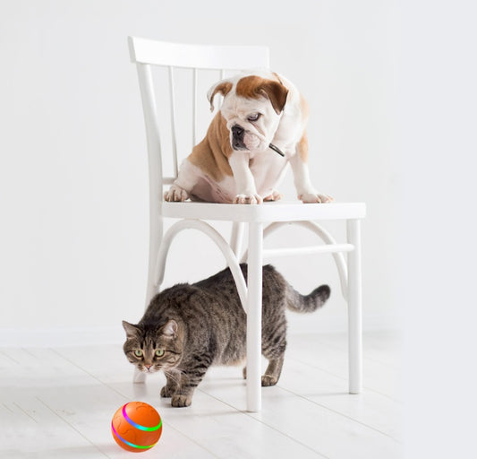 Interactive USB Pet Ball Toy with Self-Rotating Fun!