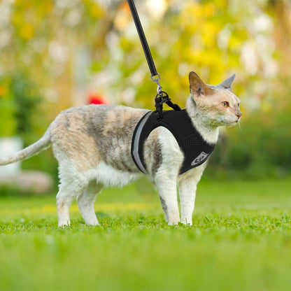 Adorable Dual-Purpose Safety Harness for Little Paws