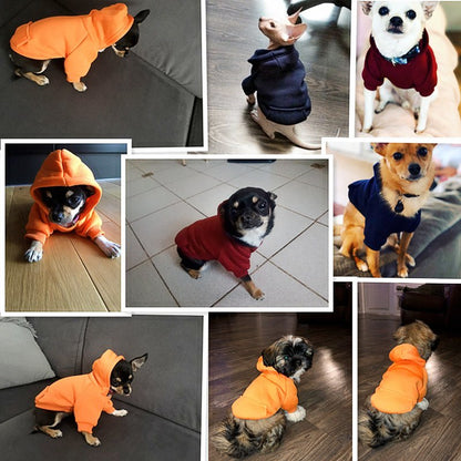 Stylish Warm Clothes for Small and Large Dogs