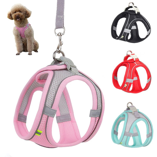 Adjustable Outdoor Dog Harness Leash Set for Puppies