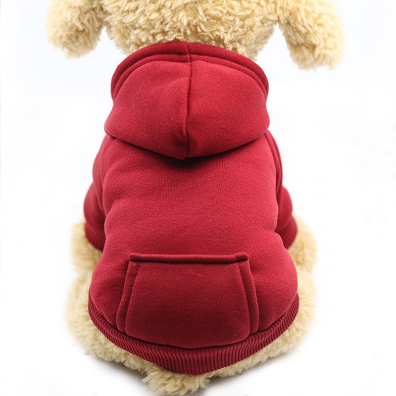 Stylish Warm Clothes for Small and Large Dogs
