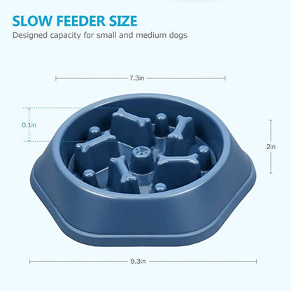 Effective Anti-Gulping Slow Feeder Bowl for Dogs